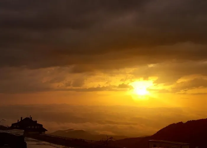 Lux S5 Milmari 아파트 카파오닉